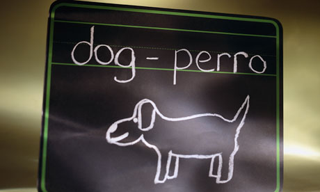 perro dog pizarra dibujo