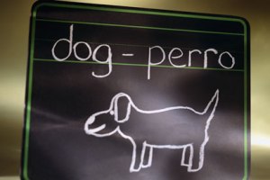 perro dog pizarra dibujo