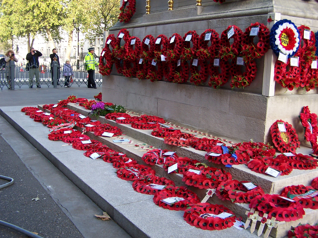 poppies by Andrew Warran