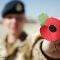 Soldier With Poppy