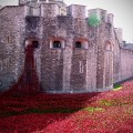 Tower of London by Samantha Beddoes