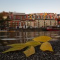 11 Geraint Rowland – Down by the River, Beautiful Bristol