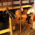 12 Wilson Loo Kok Wee – Brunel’s ss Great Britain