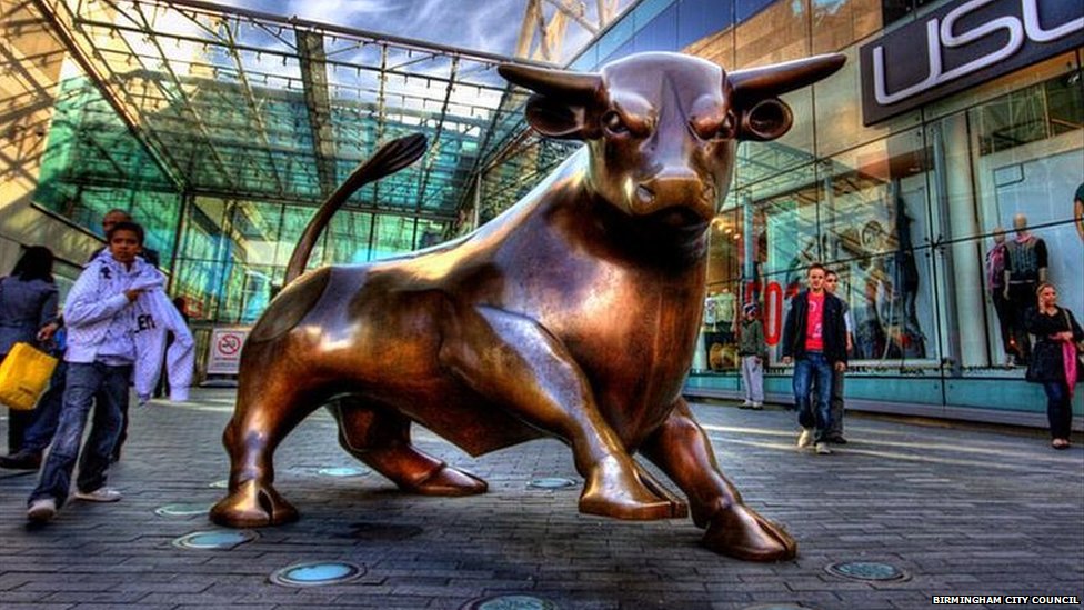 Birmingham bull