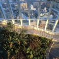 Powwow – Sky Garden, Walkie Talkie, 20 Fenchurch Street (3)