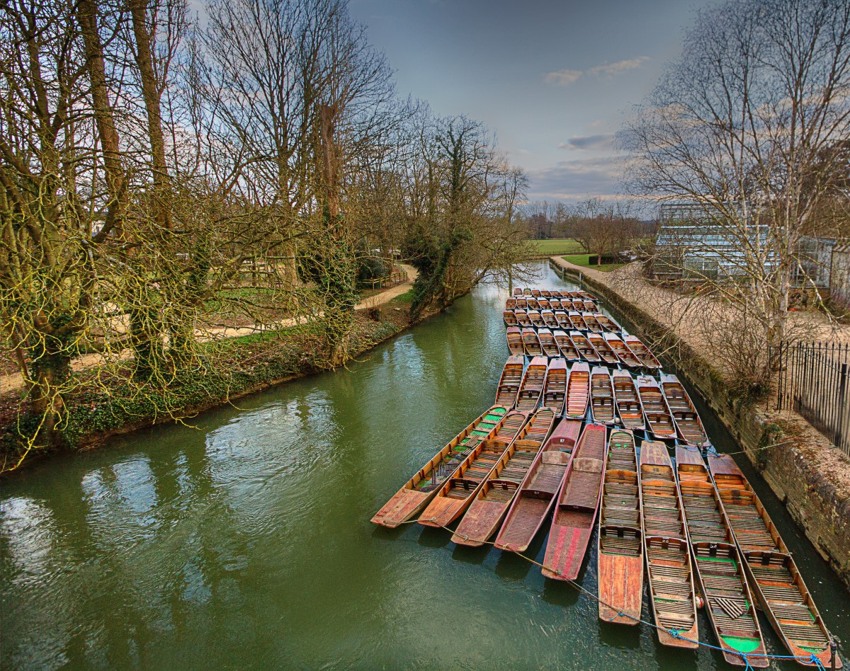 David Mills -- Oxford