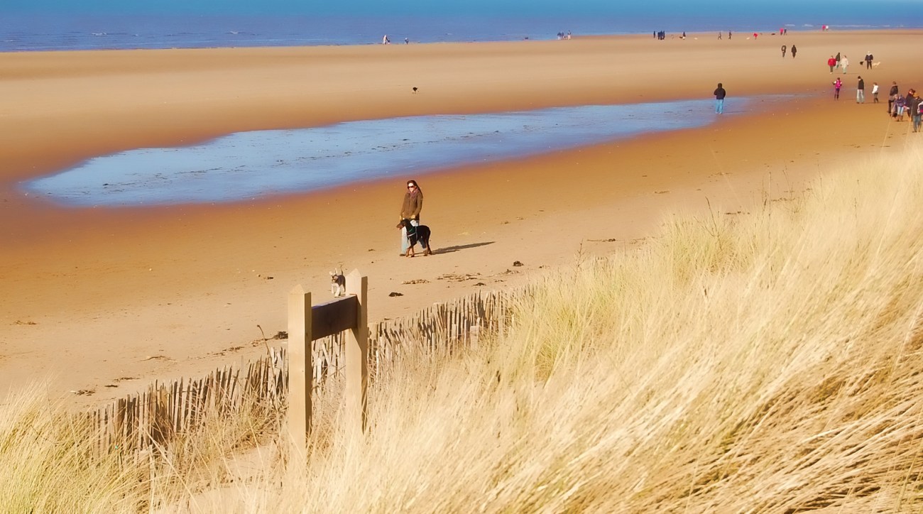 *Psycho Delia* - Formby beach at low tide