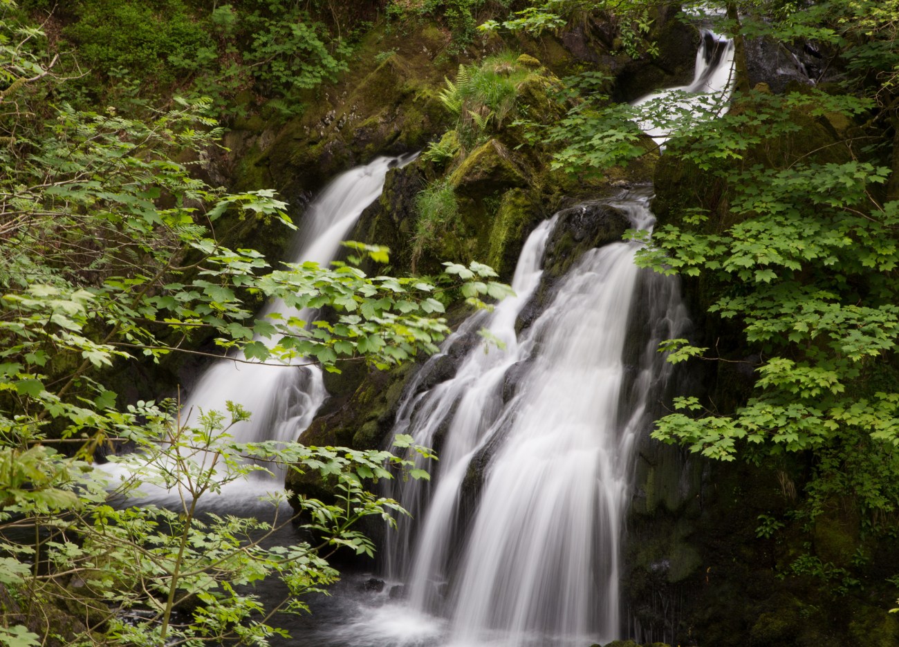 Colwith Force, Ambleside - Quentin Stafford-Fraser
