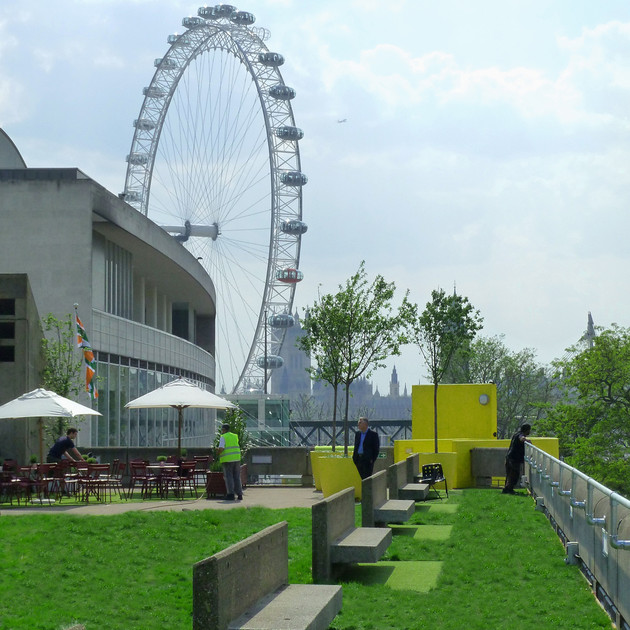 The Queen Elizabeth Hall Roof Garden