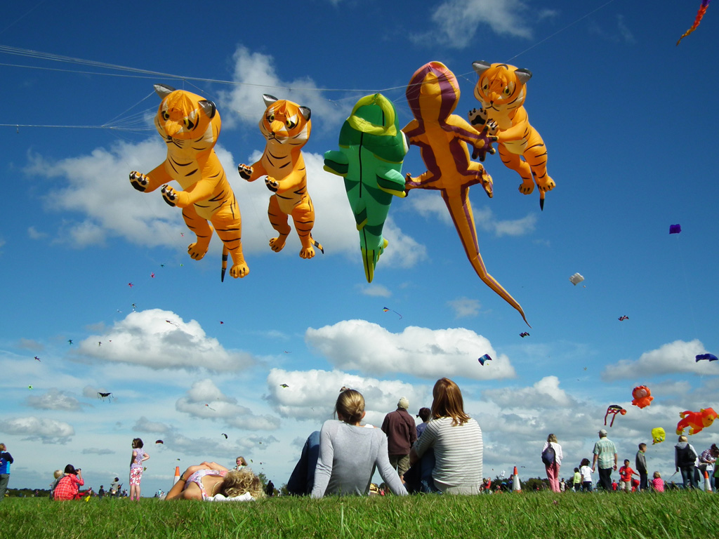 Kite Festival Bristol