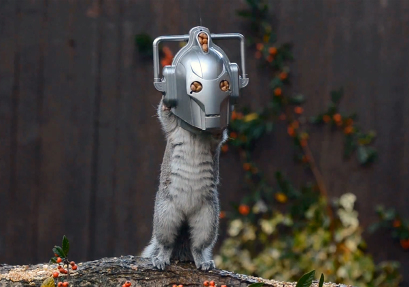 Ardilla comiendo nueces máscara