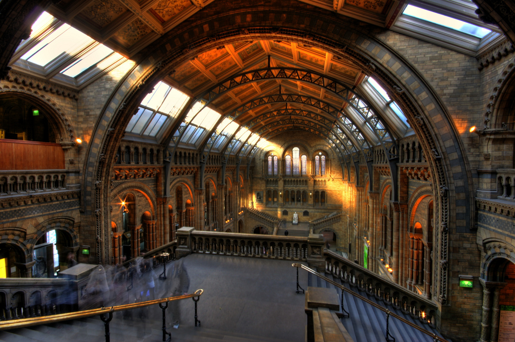 Umberto Rotundo -- Natural History Museum of London