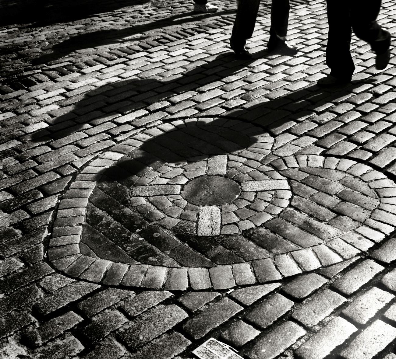 3672024533_ab67938356_o