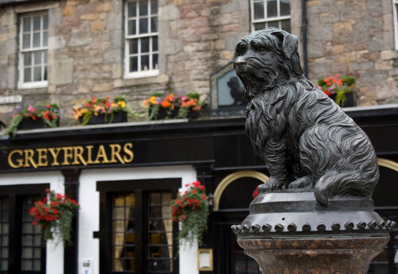 5498758527_2f6e83afff_o