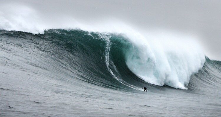 CWf6HA0W4AAZaRC.jpg large