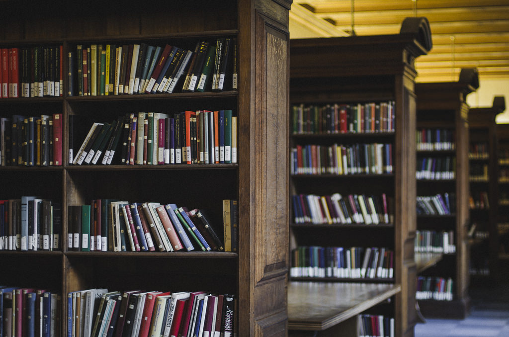 Imagen 5. Autor Chrisgen Ryan Cruz