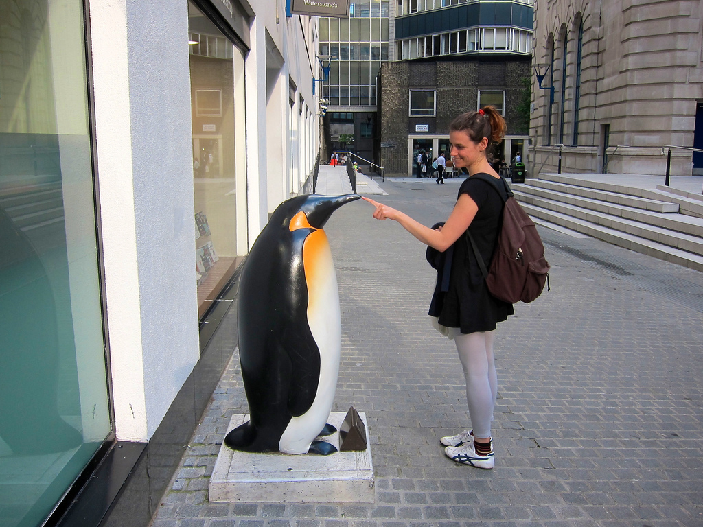 7504333784_2bbb2034de_b