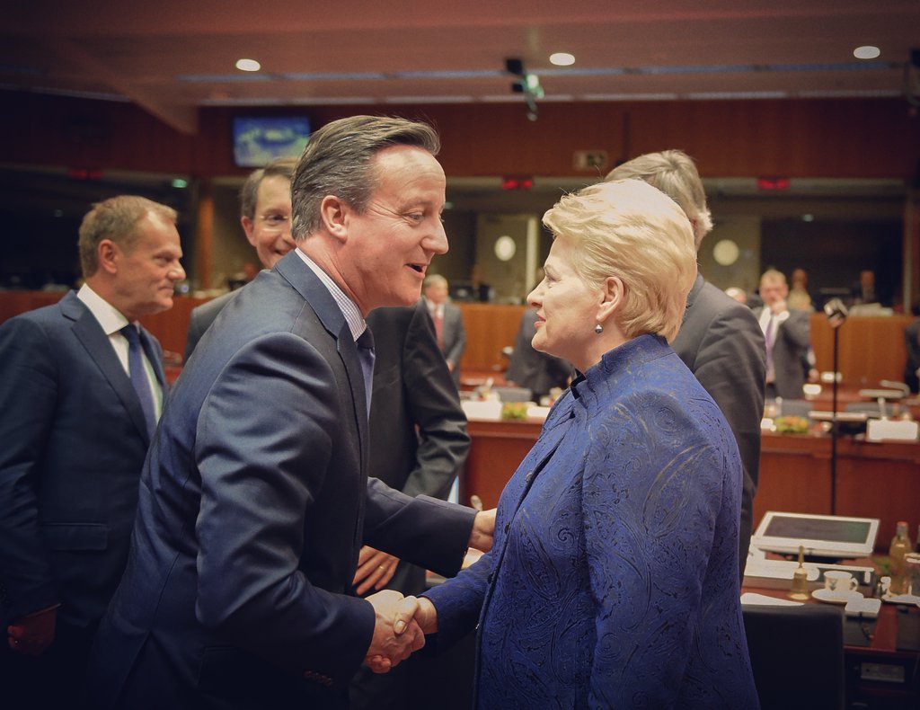 David Cameron y Dalia Grybauskaitė durante las negociaciones