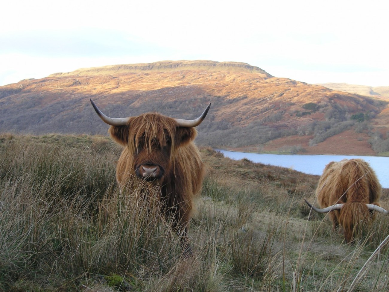 Lochaber también fue lugar de rodaje para el equipo de producción de la película de Harry Potter