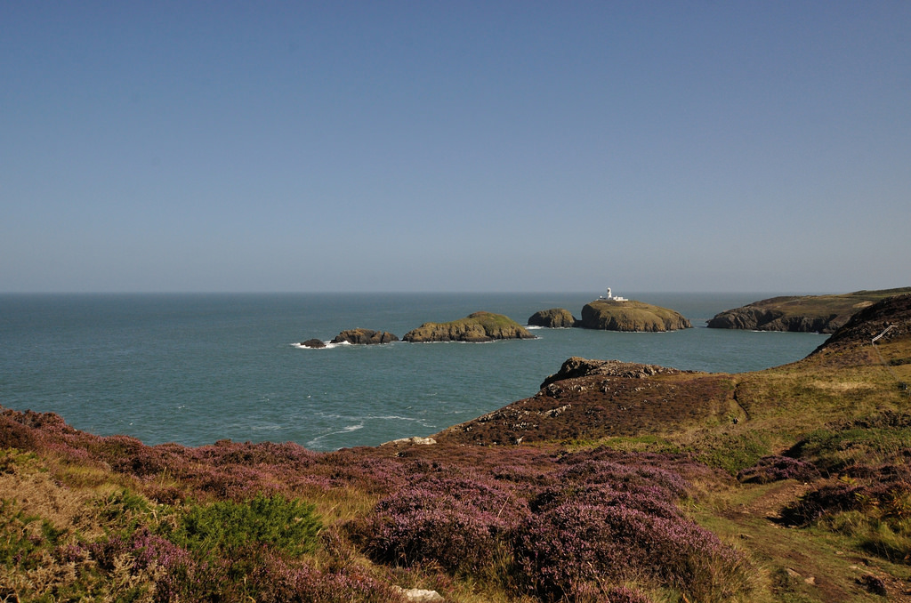 strumble Esther Jennings_files