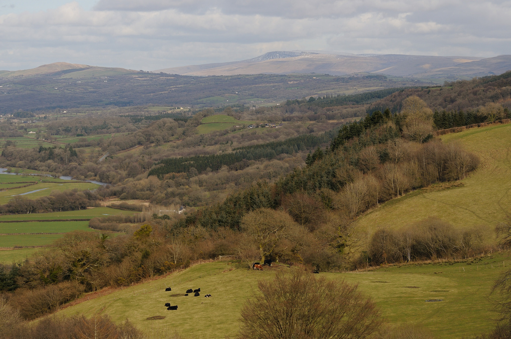 Tywi Valley towards the Black Mountains Nicholas Kaye_files