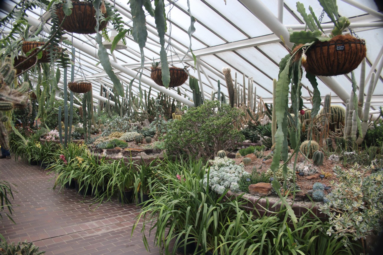 Barbican Conservatory, en Londres
