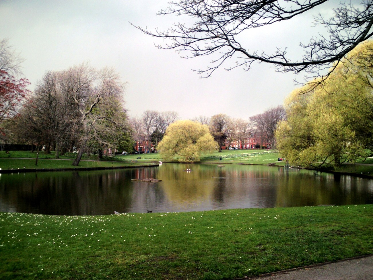 SyntekExifImageTitle