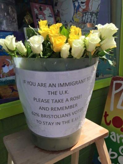 13512064_1245241732186980_6484121178938642808_n