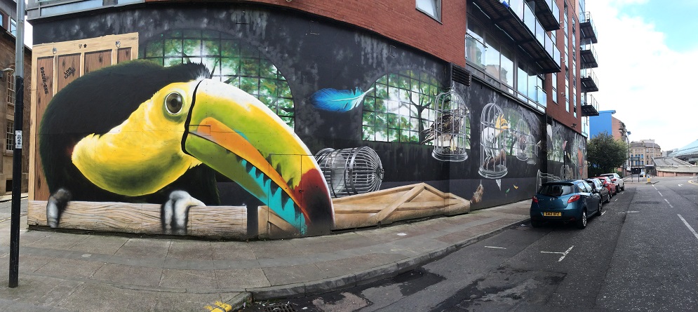 Graffiti pájaros Glasgow