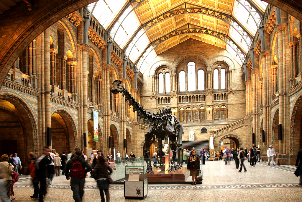 Museo de Historia Natural de Londres