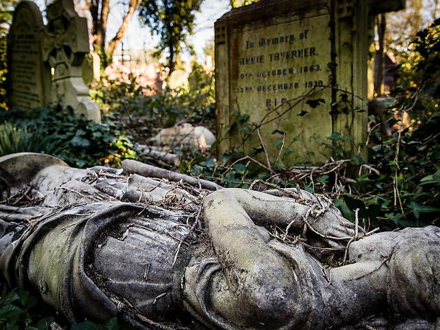 Fear in the Dark / Fred Adams