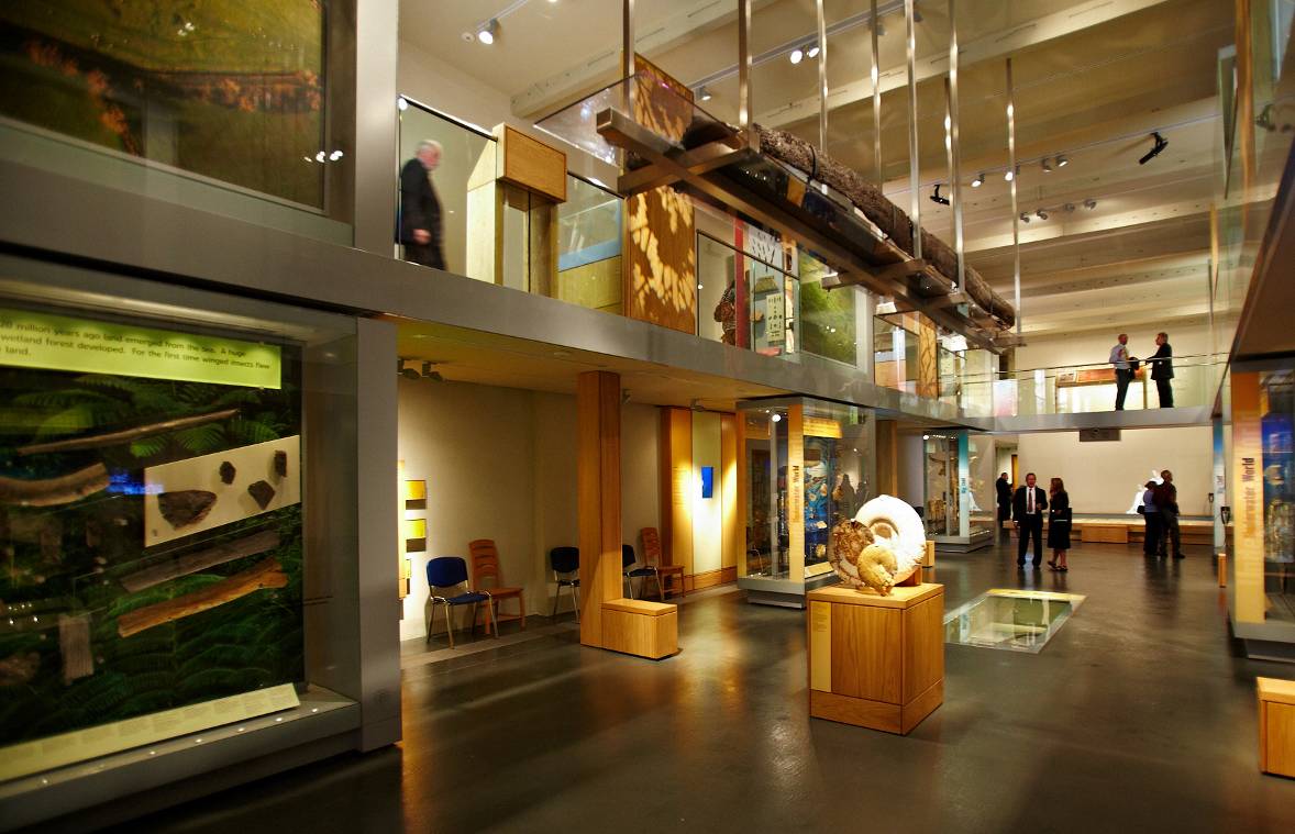 El Museo de Somerset