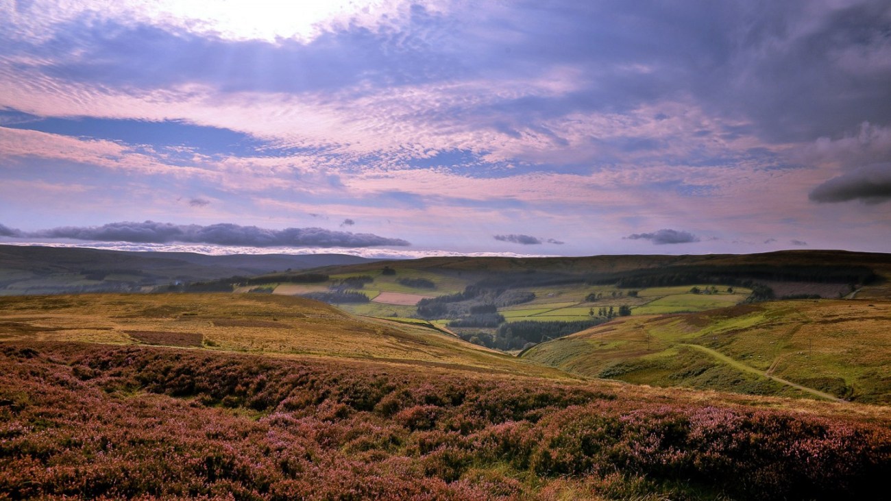 Durham Dales