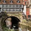 high-bridge