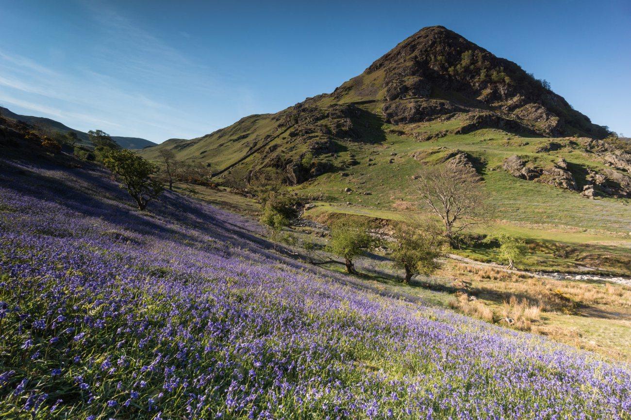 Rannerdale, en Lake District