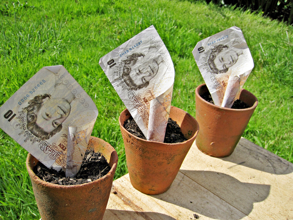 £10 note in garden