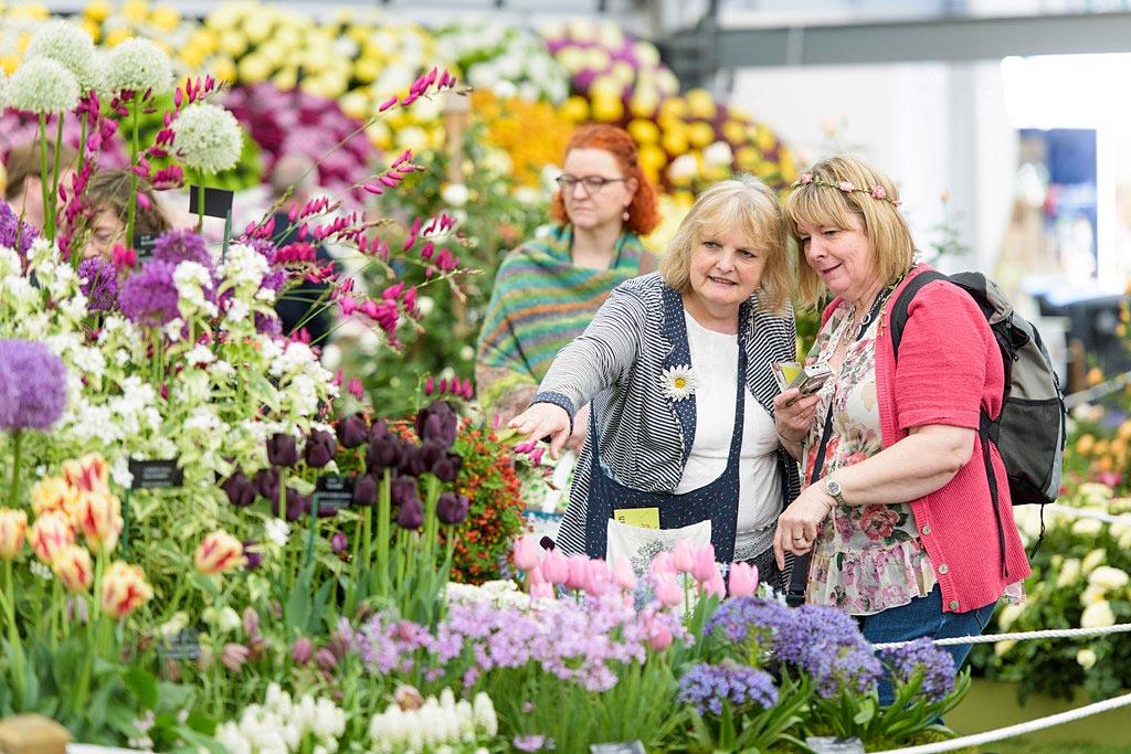 RHS Flower Show, en Derbyshire
