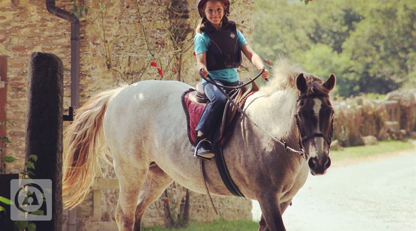 Camping Hideaway Huts, Inglaterra