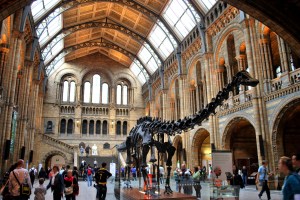 Natural History Museum, Londres