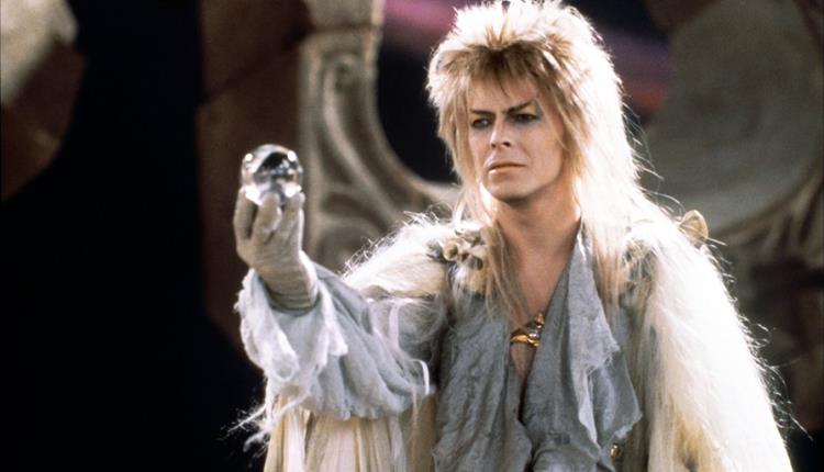 Bristol Film Festival 