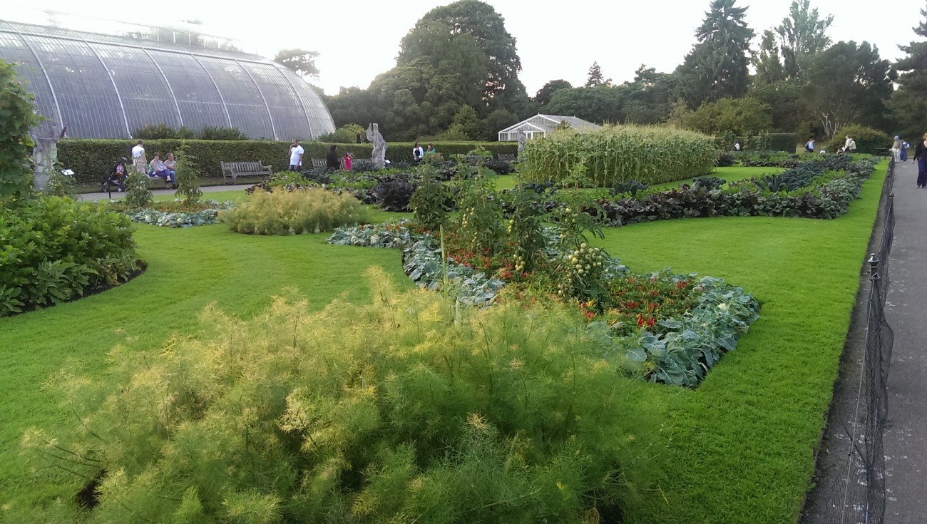 Russell Bowes -- Kew Gardens, vegetable gardens